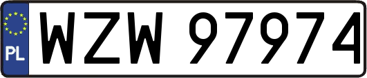 WZW97974