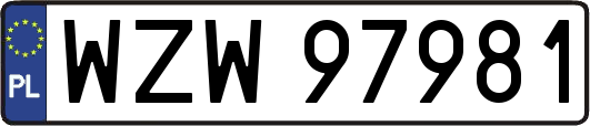 WZW97981