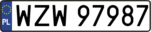 WZW97987