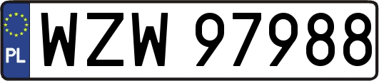 WZW97988