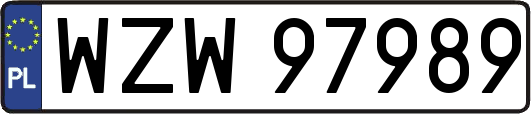 WZW97989