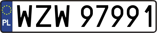 WZW97991
