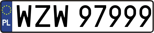 WZW97999