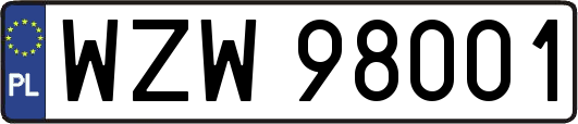 WZW98001