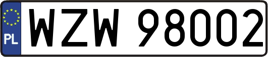 WZW98002