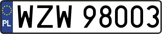 WZW98003