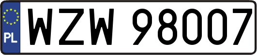 WZW98007