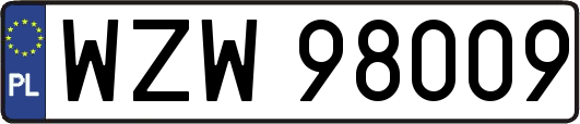 WZW98009