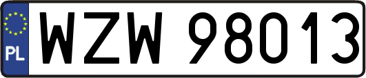 WZW98013