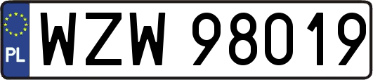 WZW98019
