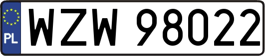 WZW98022
