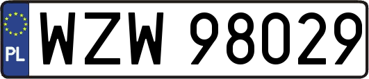 WZW98029