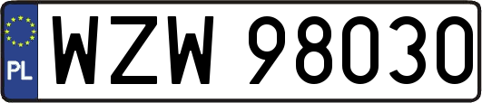 WZW98030