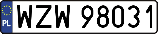 WZW98031