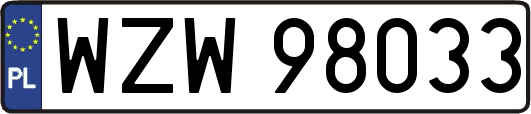 WZW98033