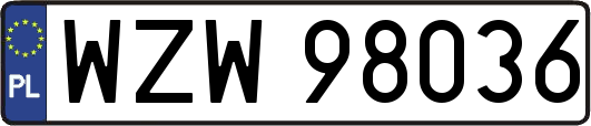WZW98036