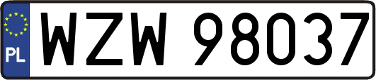 WZW98037