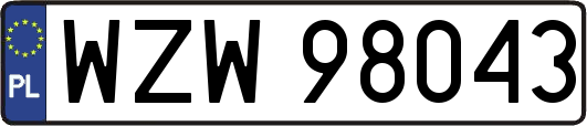 WZW98043