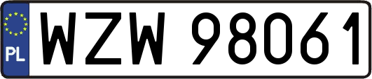 WZW98061