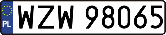 WZW98065