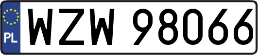 WZW98066