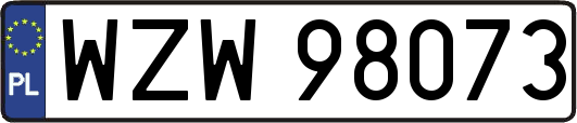 WZW98073