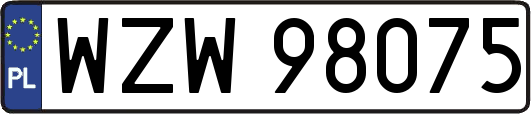 WZW98075