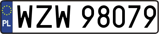 WZW98079