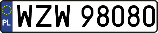 WZW98080
