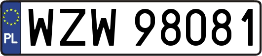 WZW98081