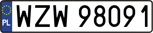 WZW98091