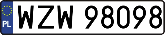 WZW98098