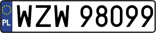 WZW98099