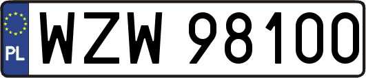 WZW98100