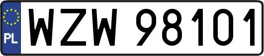 WZW98101
