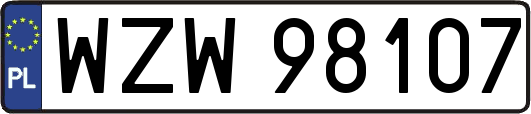 WZW98107