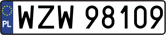 WZW98109