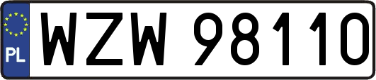 WZW98110