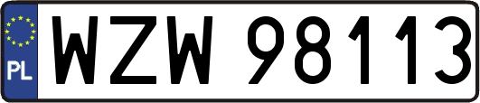 WZW98113
