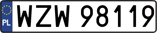 WZW98119