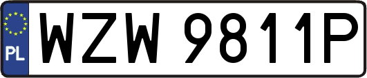 WZW9811P