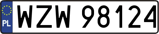 WZW98124