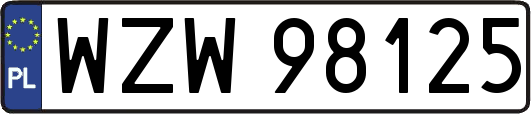 WZW98125