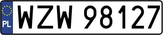 WZW98127