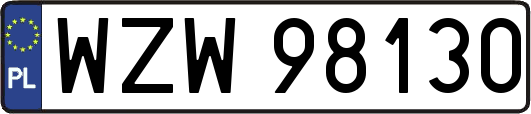 WZW98130