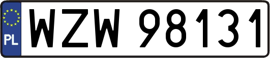 WZW98131