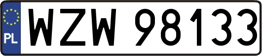 WZW98133