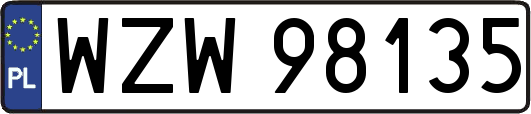 WZW98135