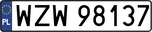 WZW98137