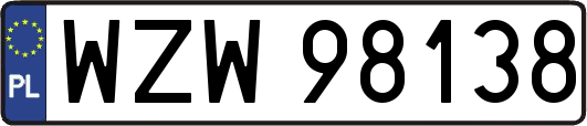 WZW98138